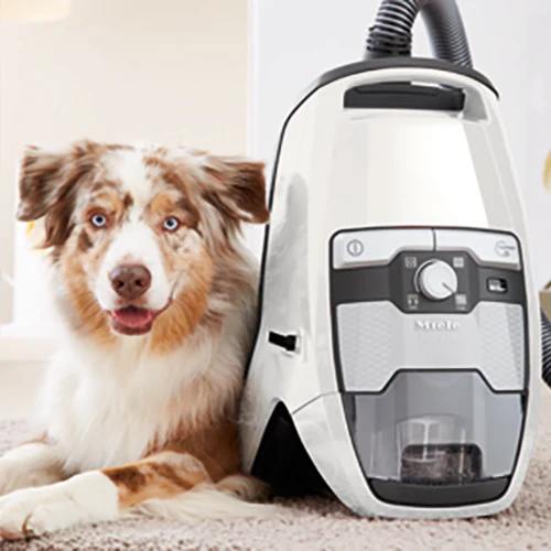 Miele Blizzard CX1 Cat & Dog Bagless Vacuum - Image 10