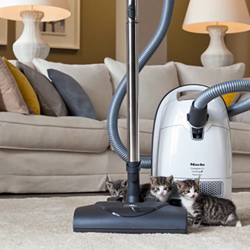Miele Complete C3 Cat and Dog Vacuum - Image 5