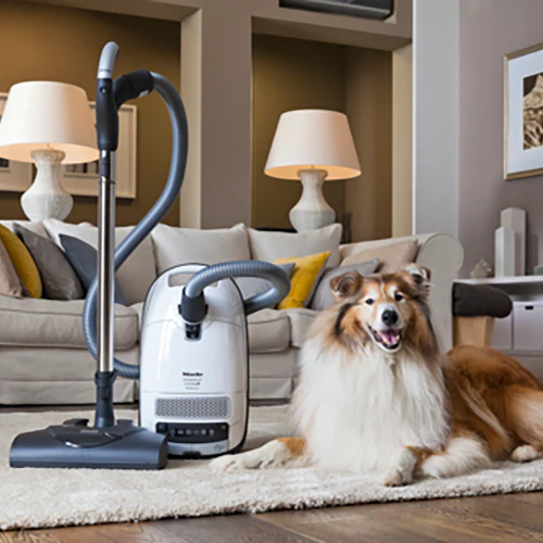 Miele Complete C3 Cat and Dog Vacuum - Image 6